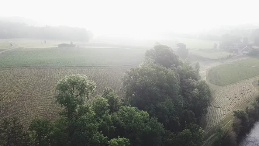 4K Drone View over field with fog and misty.  | Shutterstock HD Video #1012239575