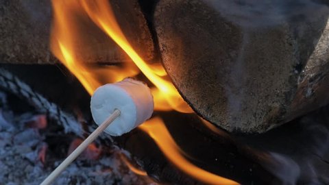 Marshmallow fire roasting slow motion open flame forest camping