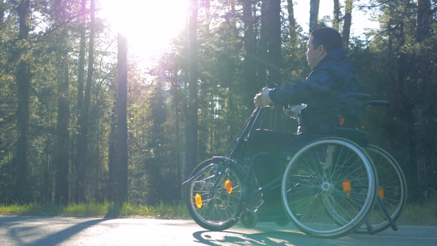 Forest alley with a physically challenged man moving in a training wheelchair