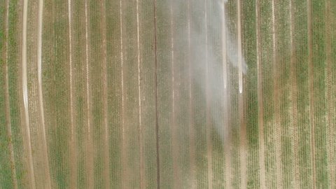 Agricultural sprinkler - irrigation area, aerial view