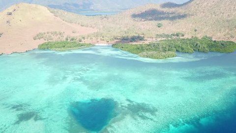 Healthy and diverse coral reefs grow along the edge of Pulau Lembata, Indonesia. This beautiful region harbors amazing reefs and a wide array of marine life.