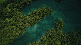 This stock motion graphics clip features a zooming out shot upwards, showing a blue lake surrounded by a lush jungle. A reflection of the moon is briefly seen on the water. 