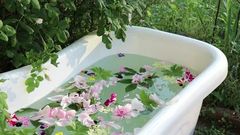 Gardenlife - Wild garden in Sweden. Outdoor vintage bathtub filled with floating flowers in lots of colors (roses, peonies, elder,  geranium, carnation, petunia, pansies ).  Relaxation at its best.
