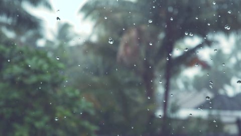 SLOW MOTION, DOF: Tiny raindrops fall from the dark overcast sky and past tropical beach. Glistening droplets of refreshing water falling past tall palm trees next to holiday home's lush backyard.