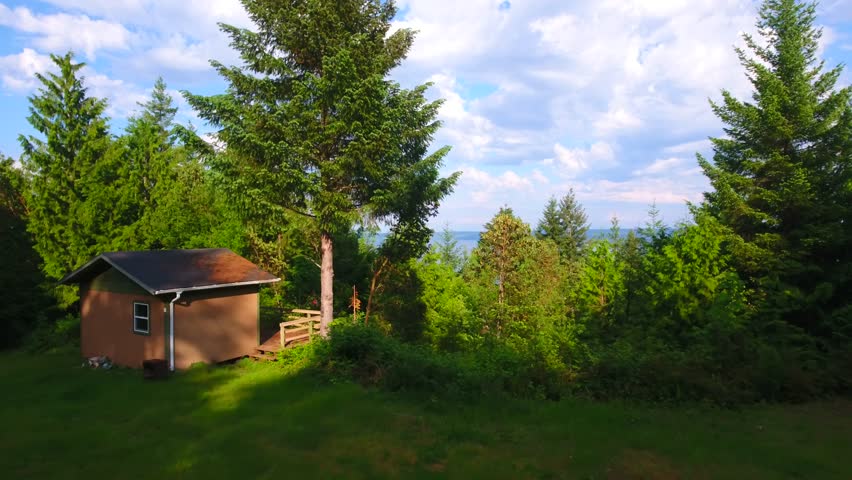 A small cabin on a thick forest hill side.