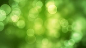 Appearing 'Healthy Life' text and dissolving after a while with moving green glitter lights, defocused light reflections on loopable green bokeh background. Healthy life, spring, forest concept video