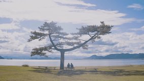 Couple sitting under Beautiful Tree with Ocean and Mountain Landscape with Flare Sun Light and Blue Sky
