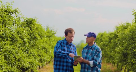 Farmer Examining Leaves While Colleague Using Digital Tablet