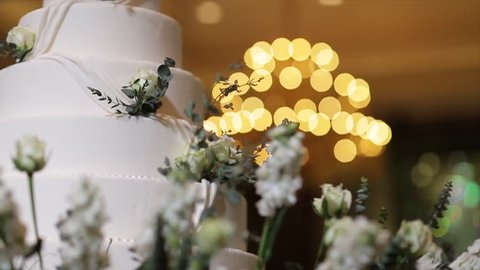 wedding cake video