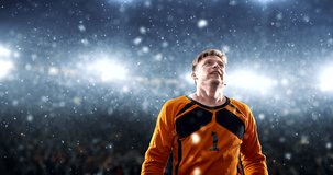 Goalkeeper celebrates a victory and raises arms happily on the professional stadium while it is snowing. Stadium and crowd are made in 3D and animated.