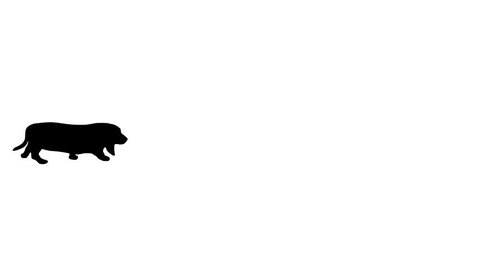 Silhouette of the black dog (basset hound), animation on the white background