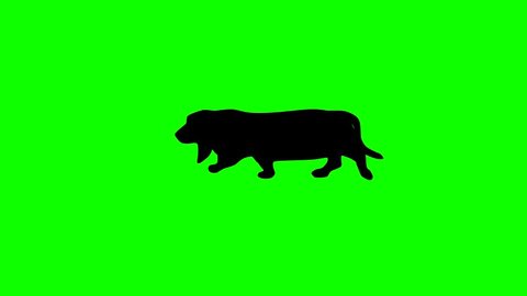 Silhouette of the black dog (basset hound), animation on the green background