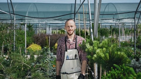 Ride the camera. The bearded gardener looks and smiles at the camera. A sunny day in agricultural greenhouse. Portrait of a man who works in the garden. Slow motion.