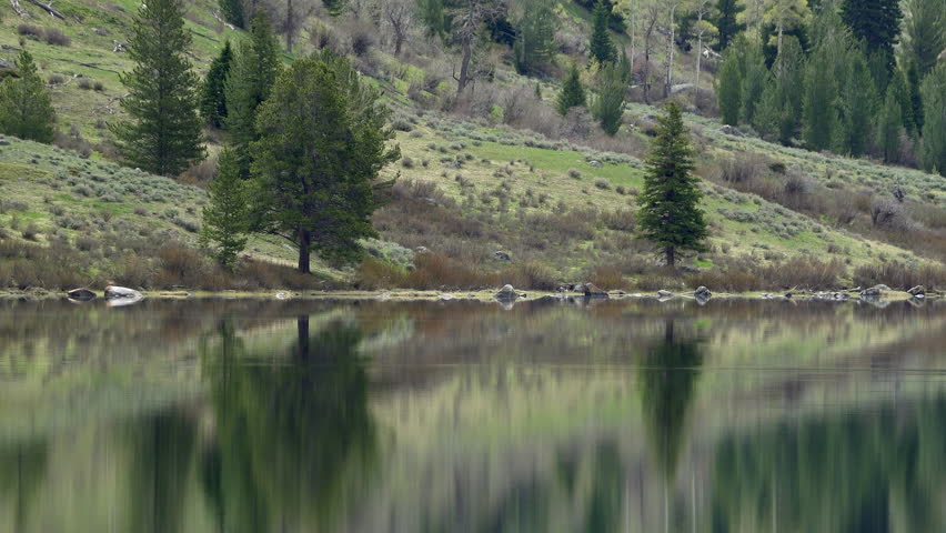 Static view of lake reflection in the Wyoming mountains showing trees in the water.