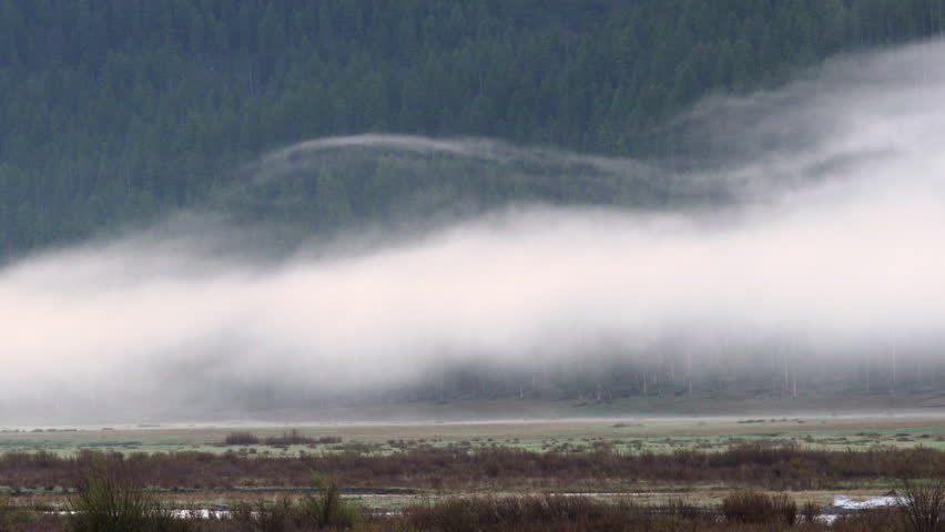 Low fog moving through Yellowstone landscape at dawn.