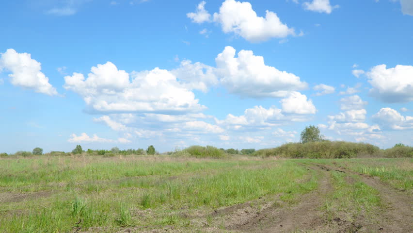 Clouds over the spring green meadow. Spring landscape