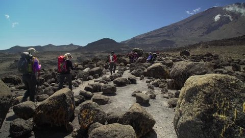 Porters climbing Mount Kilimanjaro. Group Of tourist hiking on Machame route, Kilimanjaro Mountain. Tourists walk along the path. Mountain trail during the ascent to the summit of Kilimanjaro