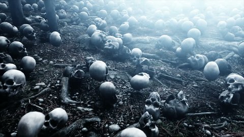 Scary old skulls in fog night forest. Fear and horror. Mistic and apocalypse concept. Realistic 4K animation.