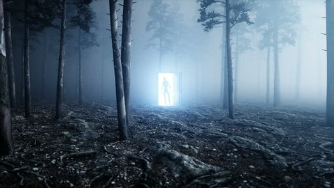 Alien in fog night forest. Light portal door. UFO concept. Realistic 4K animation.
