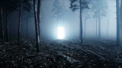 Glowing door in fog night forest. Light portal. Mistic and magic concept. Realistic 4k animation.