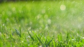 Grass with rain drops. Watering lawn. Rain. Blurred Grass Background With Water Drops closeup. Nature. Environment concept. Slow motion 240 fps. 4k UHD video