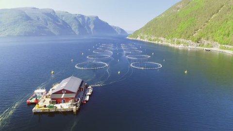 Video of Fish Farm in Norway. Blue sea and mountains with vegetation. Aerial shot. Top view.