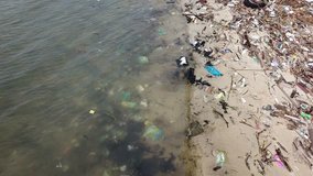 Plastic pollution on beach and in ocean