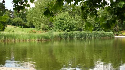 park with a small lake