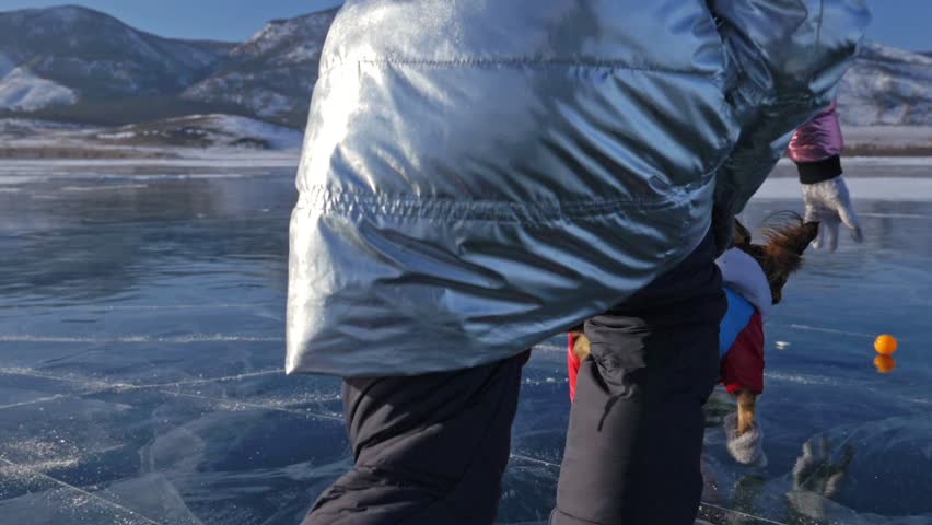 Toy Terrier in funny clothes and funny shoes plays with ball on beautiful ice in cracks. Mom and daughter in sports clothes and figure skates. Girls throw toy to dog. Doggy catches up favorite toy