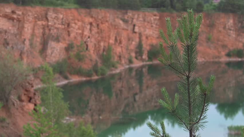 Polish park. A big orange cliff. Green Christmas tree, young pine shoots.
