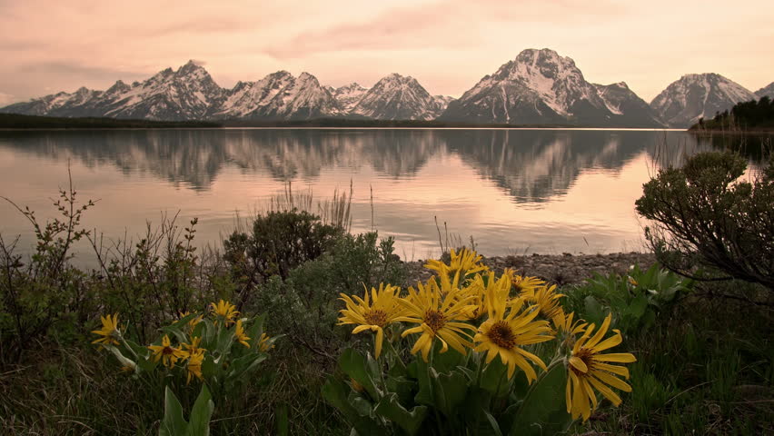 Lake Jackson shoreline and sky image - Free stock photo - Public Domain ...