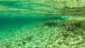 Underwater video of coral reef in tropical caribbean emerald waters