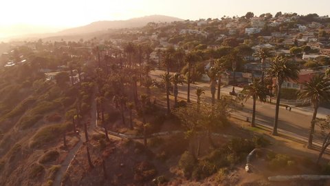 Aerial Sunset Palm Trees in Coastal San Pedro California USA