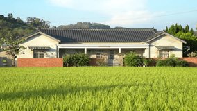 Traditional Taiwanese house with rice field at Yuanli Township, Taiwan