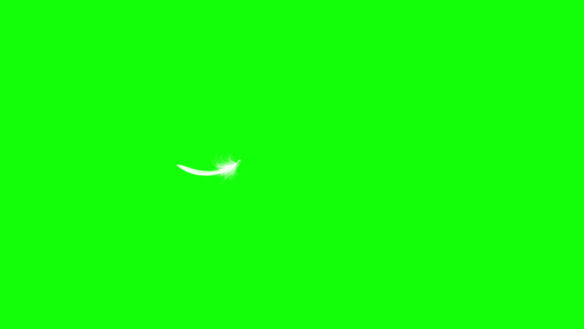 4K. Flying Feather. Green Screen. Seamless Looping. 3D Animation. Ultra High Definition. 3840x2160. Royalty-Free Stock Footage #1012442690