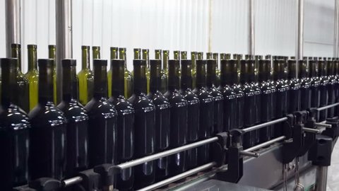 Bottling and sealing conveyor line at winery factory