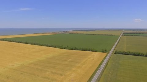 Green and yellow fields with the road aerial view.