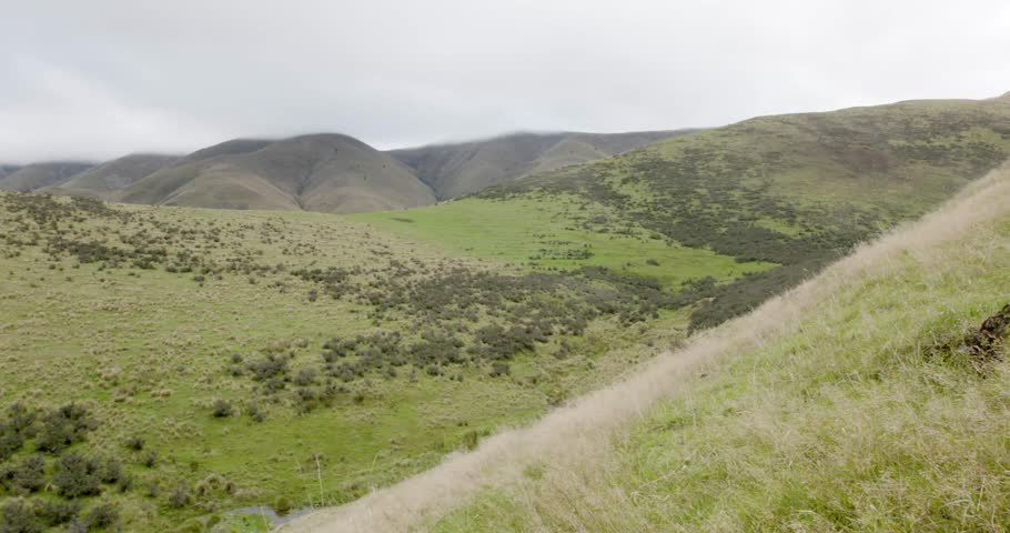A Grassy New Zealand Landscape
