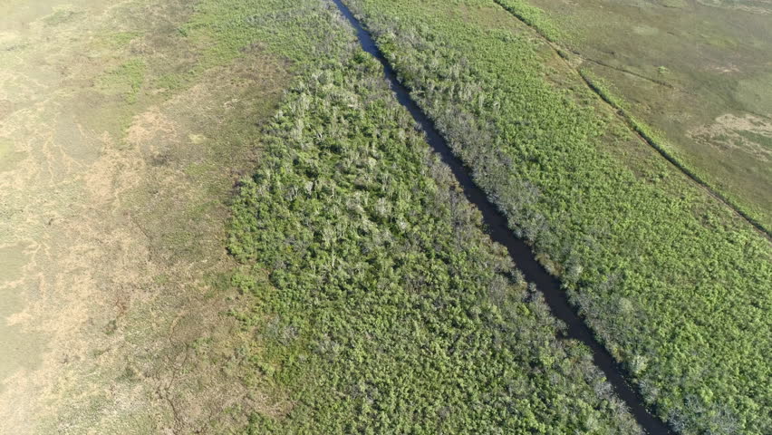 Aerial shot of Everglades National Park swamps - Florida, United States