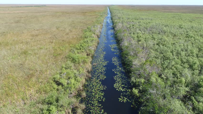 Aerial shot of Everglades National Park swamps - Florida, United States