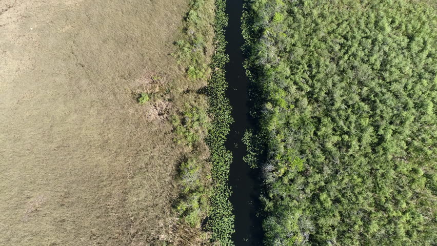 Aerial shot of Everglades National Park swamps - Florida, United States