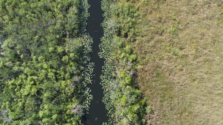 Aerial shot of Everglades National Park swamps - Florida, United States