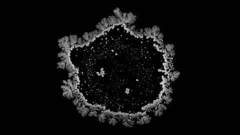 Drop drying with crystals growth. Sodium chloride. Time lapse of crystallization process under microscope. Separated on pure black background, contains alpha channel.
