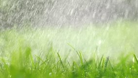 Grass with rain drops. Watering lawn. Rain. Blurred Grass Background With Water Drops closeup. Nature. Environment concept. Slow motion 240 fps. 4k UHD video