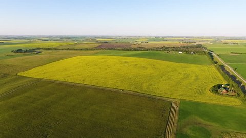 Aerial of Prairie Land, Canola Field, Farming in the Summer, Canada 