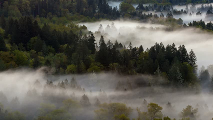 Ultra high definition 4k uhd time lapse closeup video of low moving and rolling fog and mist over Sandy river from Jonsrud viewpoint in Sandy OR 4096x2304