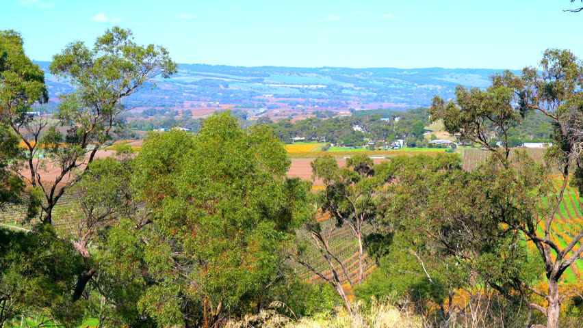 FPV scenic hilltop views of South Australian McLaren Vale winery region, handheld.