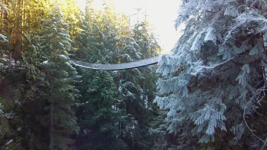 aerial perspective of icy hanging bridge in forest on sunny day lynn canyon north vancouver