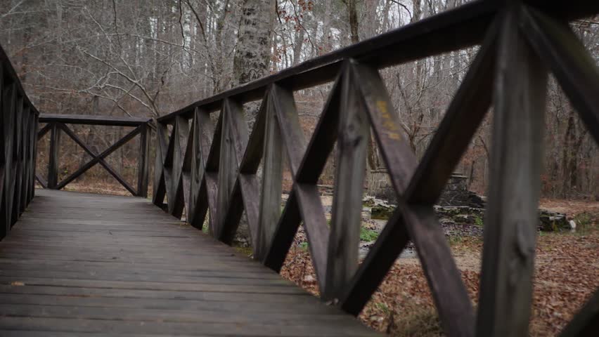 Dog and girl walking down a wooden bridge. Slow motion hand held.