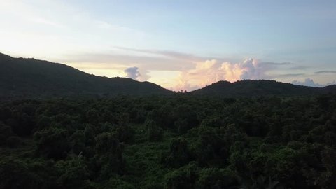 Flying over dense tropical jungle canopy toward a beautiful sunset with clouds on a remote island in Asia - Ungraded Aerial Footage